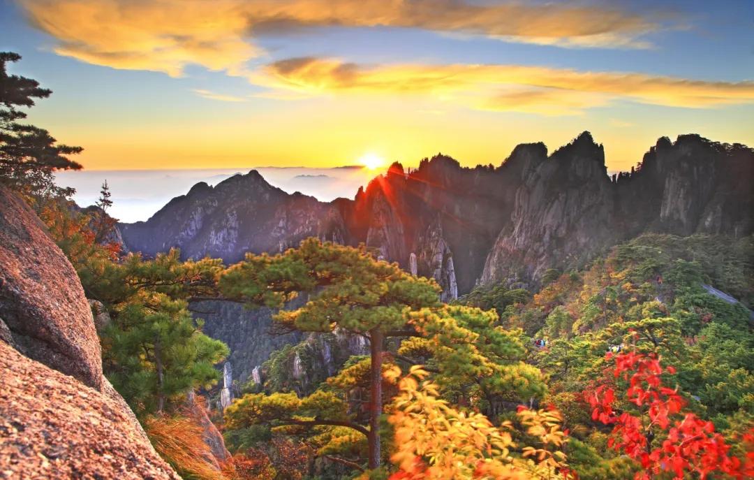 智能客服系统在智慧旅游建设中发挥的重要作用体现在哪些方面 ？